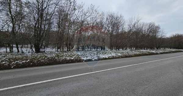 Teren 10,000mp Rădășeni / Șoseaua DN2-E85, județul S...