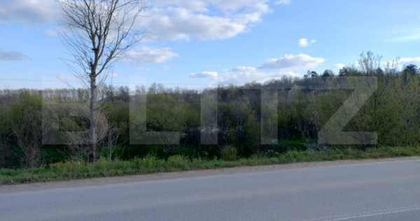 Teren padure 10 ha, extravilan, 400 ml deschidere, stradal,