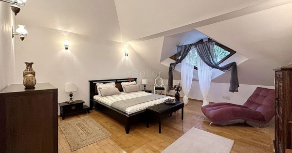 Zona Centrala Acces Facil