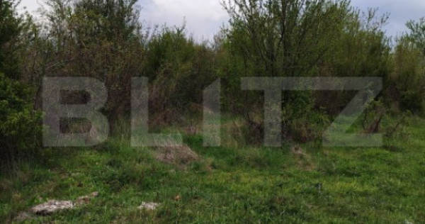 COMISION 0% LA CUMPĂRĂTOR Teren INTRAVILAN 8280 mp, zona L