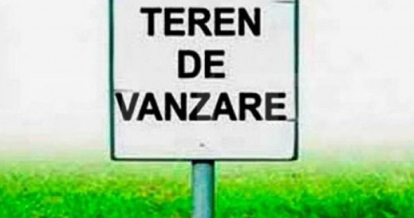 Teren extravilan ,20.000 mp Remetea Mare-Ianova