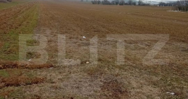 Teren intravilan, 811 mp, zona Jieni