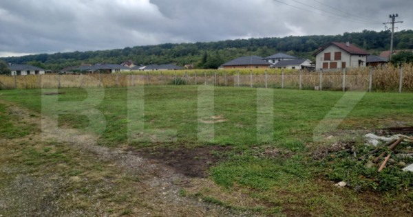Teren intravilan de vanzare, 800 mp Valea Slatinitei