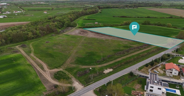 Teren intravilan 5800 mp în Remetea Mare