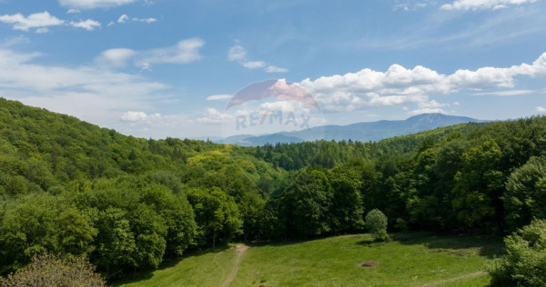 Teren de vânzare – Colonia 1 Mai, 5.310 mp, ideal pent...