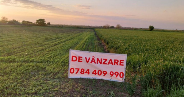 DÂRZA - TEREN INTRAVILAN