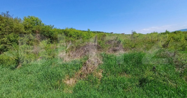 Teren intravilan de vanzare, 6200 mp, zona Viisoara, langa M