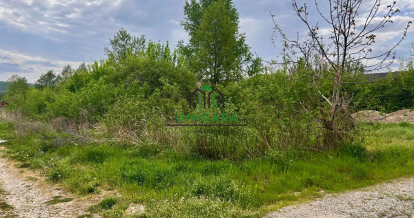 Teren Bujoreni/494 mp/Intravilan