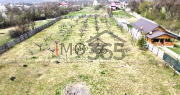 Teren Lupueni - Babana - intravilan 1025mp