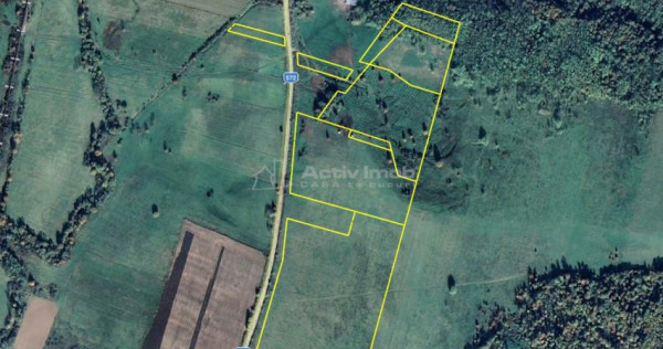 Forotic, Teren Drept Pentru Investitie, 13.2 Hectare (132.00