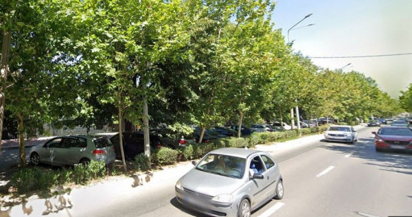 Teren 13850mp cu deschidere de 95ml la bd. Theodor Pallady