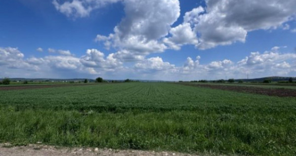 Teren extravilan, 1 hectar, Volovat