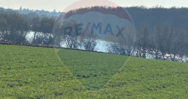 DE VANZARE intravilan LAC, Moara Vlasiei, Caldarusani TER...