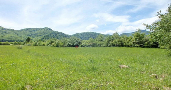 Teren Intravilan - Pretabil Investitie