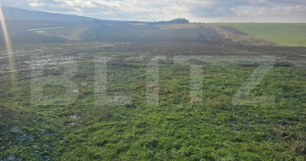 Teren intravilan in Cheriu foarte aproape de inelul metropol