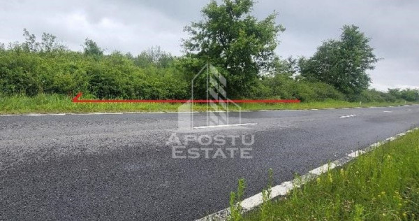 Teren mixt de 8.600 mp, ideal pentru investitie, Cuied