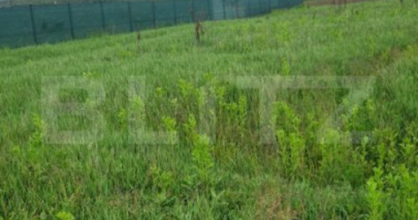 Teren pentru casa intravilan , 800 mp deschidere la drum Bod