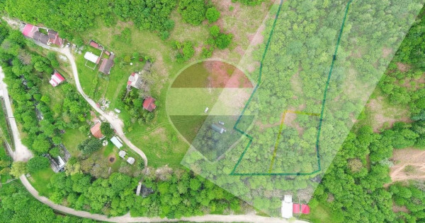 Teren 6700 mp, Apuseni, Pietroasa, Valea Aleului, Bihor, ...