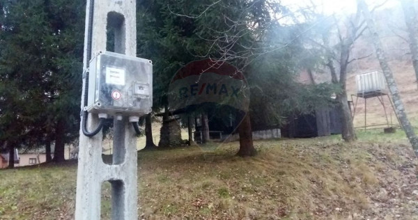 Teren 6700 mp, Apuseni, Pietroasa, Valea Aleului, Bihor, ...