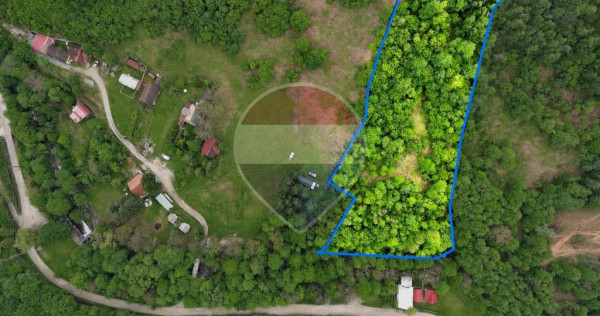 Teren intravilan, 6700 mp, Curent, Zonă populată, Apuse...