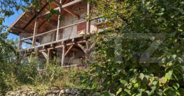 Casa 3 camere si teren 4873 mp în Pietroasa, Moldoveneşti