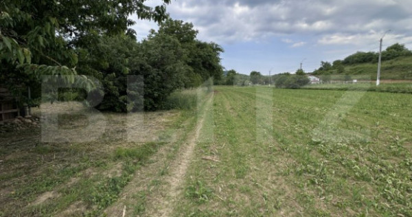 Teren intravilan, 5.800 mp, zona Câțcău