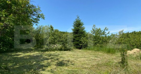 Teren intravilan de vânzare – 30 ari – Zona Podul Jelne