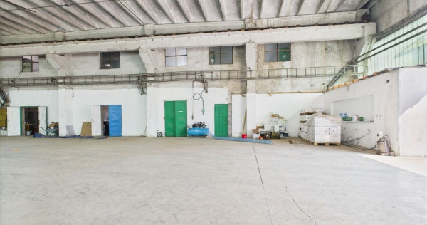 Complex industrial cu hale și teren în Orțișoara