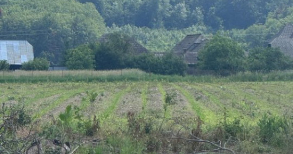 Teren generos, intravilan, 13.518 mp, Marginea