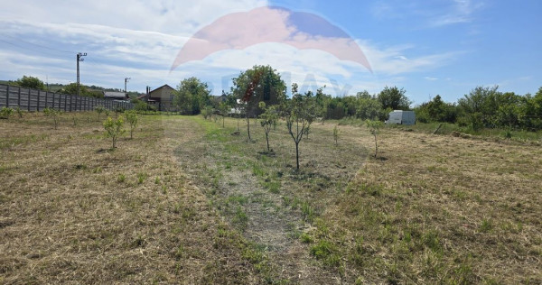 Teren 2,500mp Simnicu de Sus / Strada Craiovei