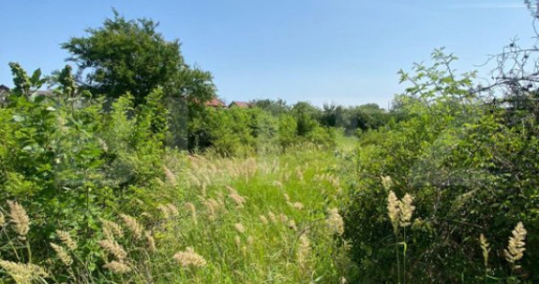 Teren Intravilan de vanzare, 1500 Mp, zona Rahova