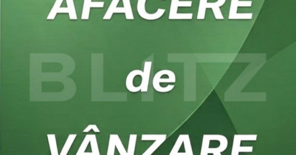 Afacere la cheie! Cladire individuală, 500 mp, plus 9 ari t
