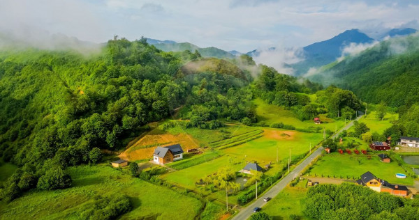 Cabana de vis la poalele Muntilor Țibleș schimb cu apar...