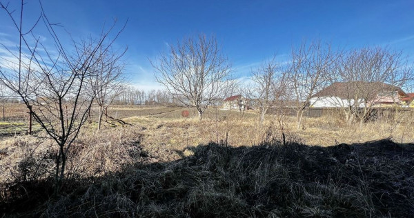 Teren intravilan cu hala construita