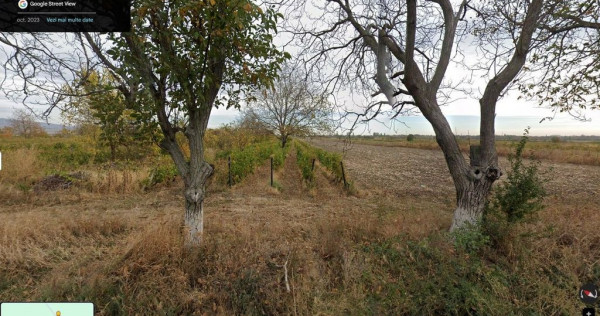 Teren extravilan Pietroasele, ID: R2586802