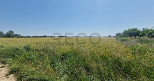 RECO teren intravilan in Fughiu 9 e/mp