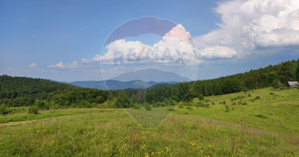 Teren 130000 mp extravilan Munteni - Bulz, Negreni