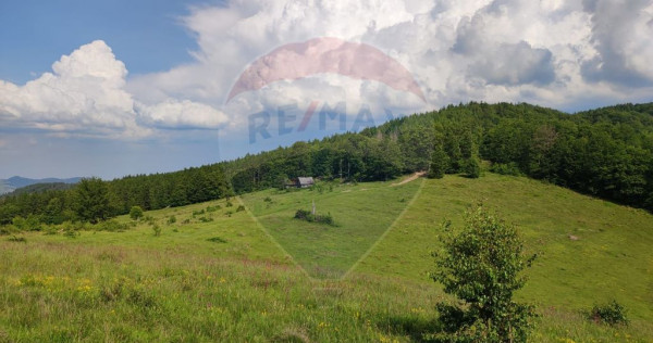 Teren 130000 mp extravilan, faneata si padure, Munteni - ...