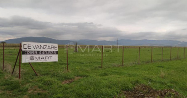 Teren intravilan cu PUZ 30.000 mp Prejmer