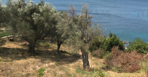 Teren de in Bar Muntenegru