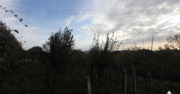 Teren de in Herceg-Novi Muntenegru