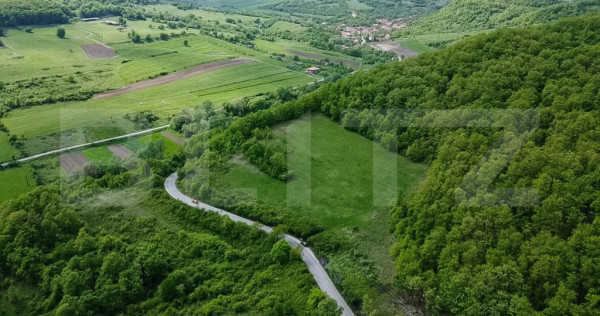 Teren superb, în mijlocul naturii, 18.360 mp, la Cărjiți