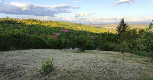 RECO Teren intravilan zona Podgoria