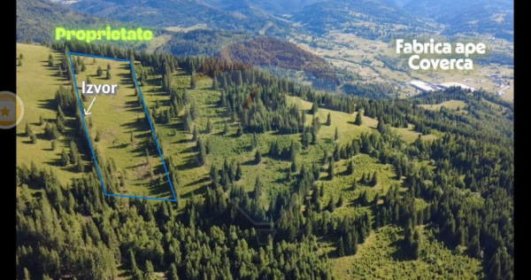 Teren 24,581mp Panaci / Strada Mihăileț