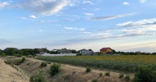 Tamasi, langa padure, 12.824 mp, deschidere 45 ml, teren ...