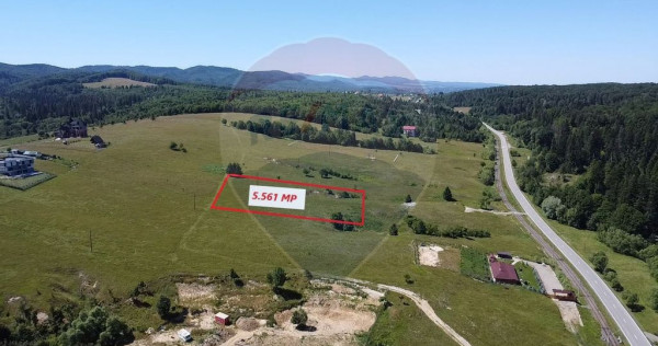 Teren 5,561mp Paltinoasa / Strada principala
