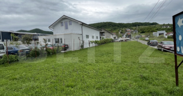 Teren de 11 ari la drumul principal în Viișoara – ideal