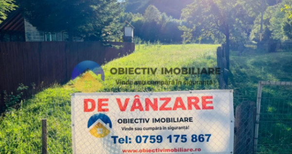 TEREN intravilan 8.000 mp TARCAU