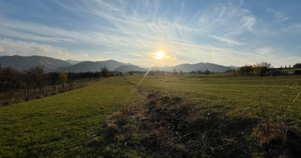 Teren de vânzare – ideal pentru cabană – Rășinari, jud. Sibiu (2000 mp