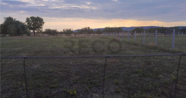 RECO Teren intravilan,Osorhei